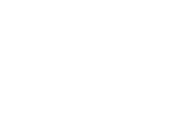 Fly20 logo